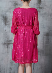 DIY Rose Sequins Tie Waist Tulle Day Dress Fall