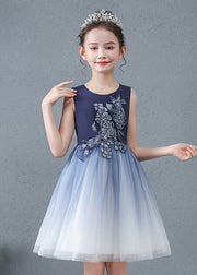 Lovely Navy Jacquard Slim Fit Tulle Baby Girls Dress Summer