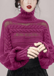 New Rose Turtleneck Hollow Out Cable Knit Sweaters Winter